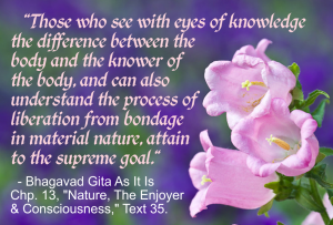 This passage is a perfect explanation and acknowledgement of one who has completely embraced and is completely cognizant of what their physical body is in relationship to their Inner Being - and how such a higher state of body awareness and overall consciousness can lead them to their ultimate evolutionary destination.This verse is originally spoken with & written in the ancient Sanskrit of the Vedic literature from India - the language of consciousness, or of "name & form". (The SOUND VIBRATION from the name of any object, idea, etc. of a Sanskrit word - produces the actual FORM that object, idea, etc. represents. That is why Sanskrit mantras are ideal for meditation!)Sanskrit is known to be one of the earliest languages of civilization & has also been recognized as a "perfect computer language".