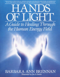 Hands of Light book cover